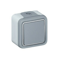 Переключатель одноклавишный 10А, IP55 серый Plexo 55 069711 Legrand
