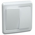 Выключатель двухклавишный 10А ВС10-2-0-ВБ белый ВЕГА (EVV20-K01-10-DM) IEK