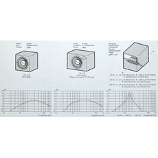 Сабвуфер Pioneer TS-W1200PRO
