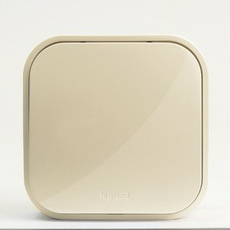 Переключатель одноклавишный 10А открытой установки бежевый Quteo 782234 Legrand