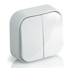 Выключатель двухклавишный 10А белый Quteo 782202 открытой установки Legrand