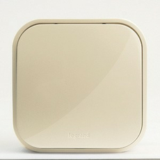 Выключатель одноклавишный 10А открытой установки бежевый Quteo 782230 Legrand