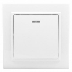 Выключатель одноклавишный Минск скрытой установки с индикацией 10А белый ERV10-121-10 EKF