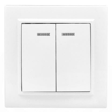 Выключатель двухклавишный Минск скрытой установки с индикацией 10А белый ERV10-123-10 EKF