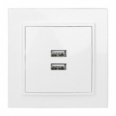 Розетка 2 USB Минск скрытой установки 2,1А+2,1А в сборе белый ERR-2 USB-100 EKF