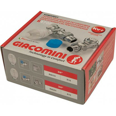 Комплект термостатический 3/4" (увеличенный проход) прямой, регулирующий и запорный клапаны, термостатическая головка Giacomini R470FX064