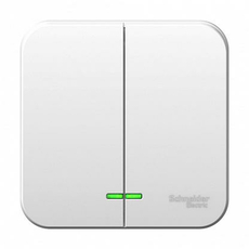 Выключатель двухклавишный BLANCA BLNVA065111 Schneider Electric