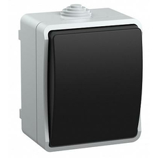 Выключатель одноклавишный открытой установки ФОРС ВС20-1-0-ФСр IP54 (EVS10-K03-10-54-DC) IEK