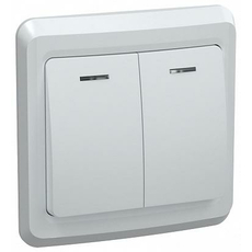 Выключатель двухклавишный с индикатором 10А ВС10-2-1-ВБ белый ВЕГА (EVV21-K01-10-DM) IEK