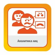 ПО SatVision "Аналитика лиц"