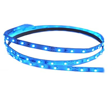 Светодиодная лента PLS 2835/ 60-12V голубая IP65 (5м) 6Вт/м .2858979 Jazzway