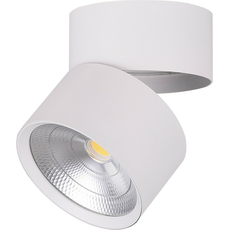 Светильник светодиодный ДПО-25w 4000К 2250Лм наклонный белый (AL520) FERON