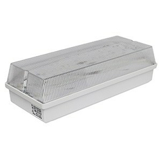 Светильник аварийный светодиодный BS-UNIVERSAL-51-L1-INEXI2 1ч IP65 универсальный (UNIVERSAL)