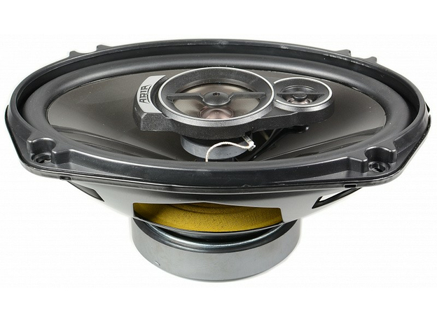 Колонки ARIA TL-6909P