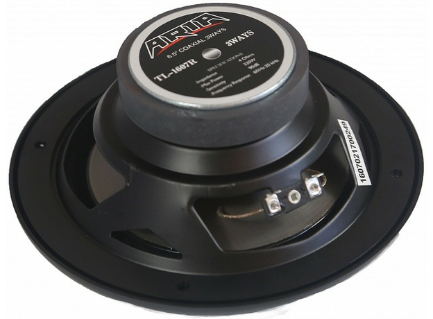 Колонки ARIA TL-1607R