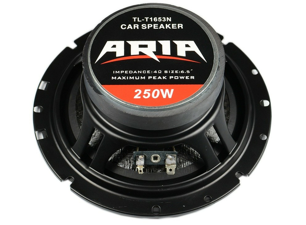 Колонки ARIA TL-T1653N