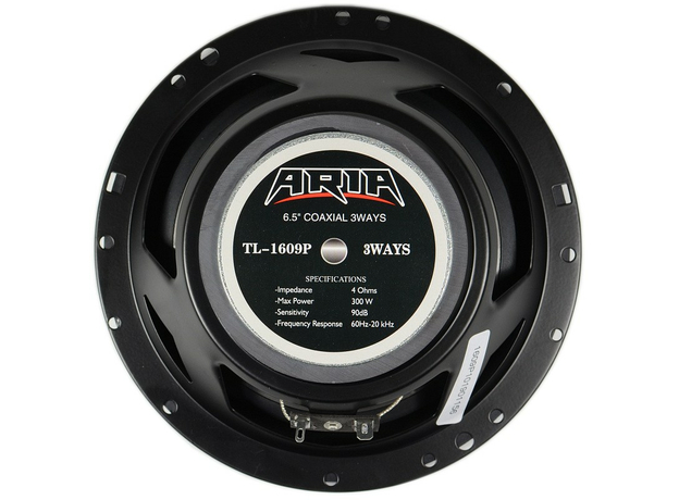 Колонки ARIA TL-1609P