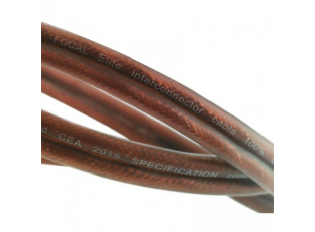 Кабель межблочный Focal ER5