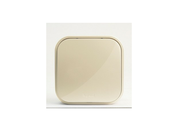 Переключатель одноклавишный 10А открытой установки бежевый Quteo 782234 Legrand