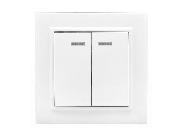 Выключатель двухклавишный Минск скрытой установки с индикацией 10А белый ERV10-123-10 EKF