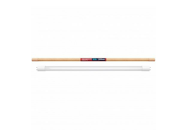 Лампа светодиодная 18Вт G13 T8 6500К 1600Лм матовая 220В трубчатая 1200 мм 32393 8 TM REV