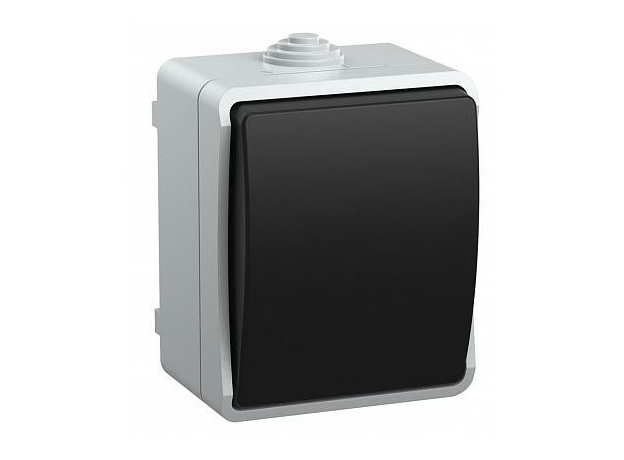 Выключатель одноклавишный открытой установки ФОРС ВС20-1-0-ФСр IP54 (EVS10-K03-10-54-DC) IEK