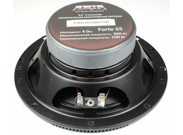 Колонки ARIA FORTE 65
