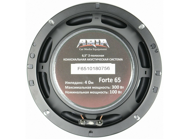 Колонки ARIA FORTE 65