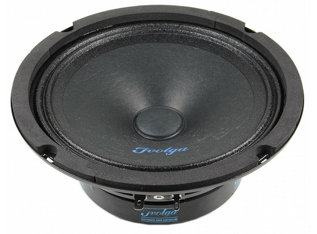 Автомобильные колонки широкополосные Ivolga UP-651