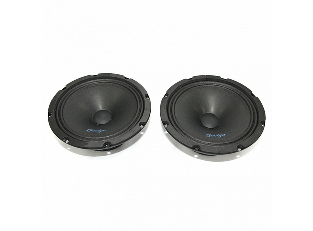 СЧ-динамики Ivolga UP-802