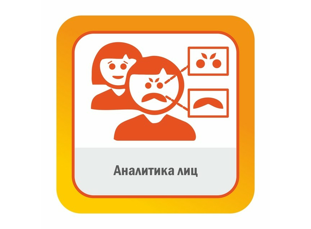 ПО SatVision "Аналитика лиц"