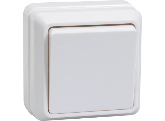 Выключатель одноклавишный ВС20-1-0-ОБ ОКТАВА открытой установки 10А белый IP20 EVO10-K01-10-DC IEK