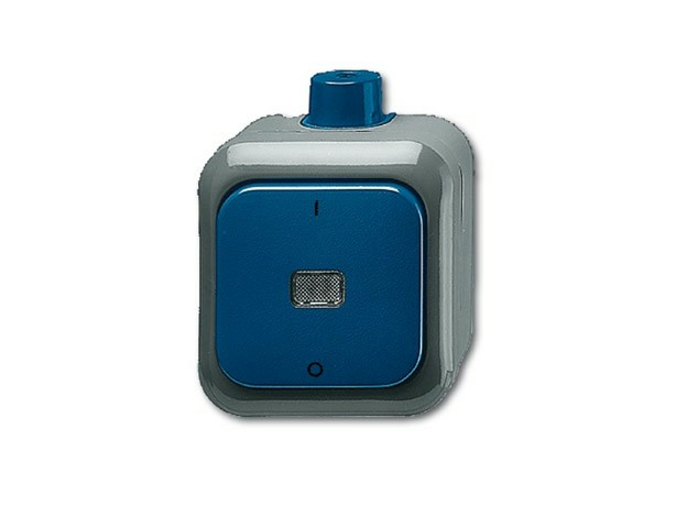 ABB DURO Переключатель одноклавишный 2п IP66 наружный проходной (2601/2 WDI) 2CKA001084A0821