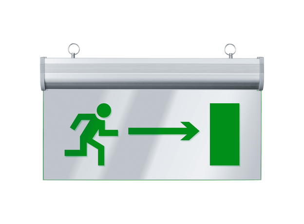 Светильник аварийный светодиодный НАПРАВЛЕНИЕ ДВИЖЕНИЯ двухсторонний 3вт 1.5ч постоянный LED IP20 (61508 NEF-06) Navigator Group